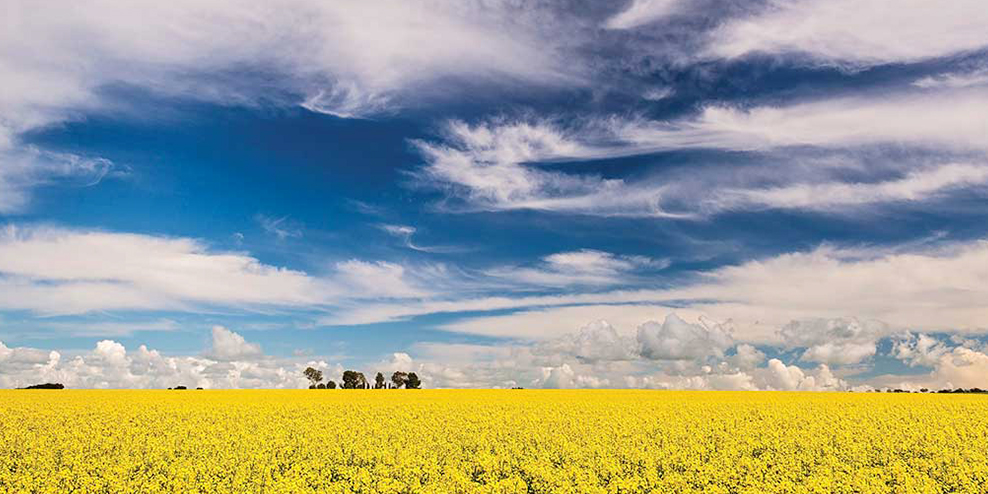 Clare Valley, South Australia, Australia